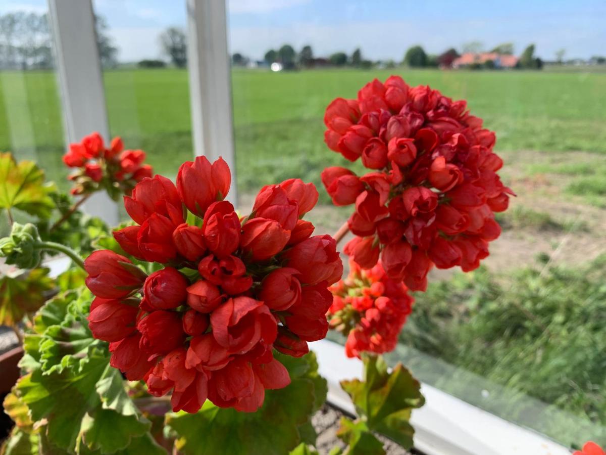 Strandbadsgården B&B Löderup Eksteriør bilde